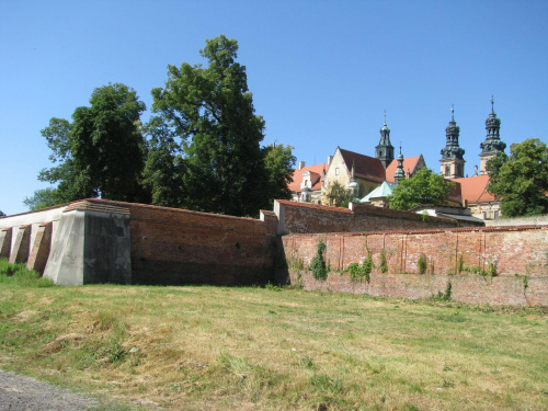 Lubiąż 15