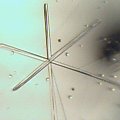 Mikrokrystaliczne wykrywanie manganu w postaci szczawianu. Promieniste skupienia igłowych kryształów MnC2O4. Stan po częściowym odparowaniu próbki. Światło żarowe przechodzące. Pow. x 72. #mikrokrystaliczna #mikrochemiczna #mangan