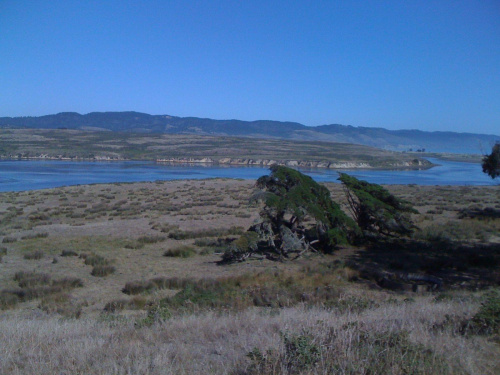 Point Reyes