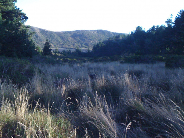 Point Reyes