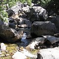 Park Yosemite