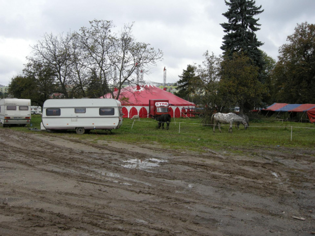 Cyrk Safari-2010. Zapraszamy na www.portalcyrkowy.ubf.pl #cyrk #safari #sezon #clown #rzeszów #występycyrkowe #kmc #portal #cyrkowy #portalcyrkowy #cyrksafari #arena