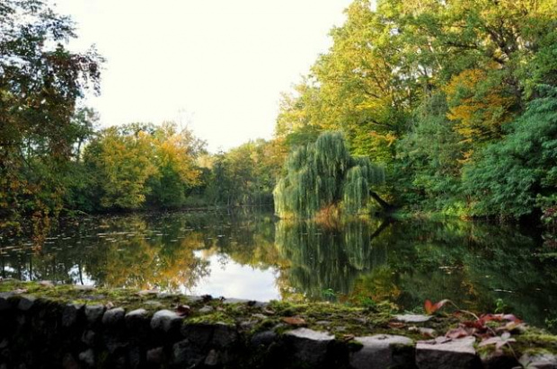 Fotografia stanowi własność autora. Kopiowanie i rozpowszechnianie fotografii bez jego zgody jest zabronione.