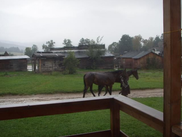 ostatni dzień w Karpaczu...leje, leje, leje...