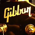 #GibsonGitara
