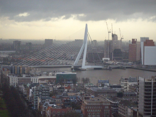 Słynny most - jeden z symboli Rotterdamu. Widok z Euromast.