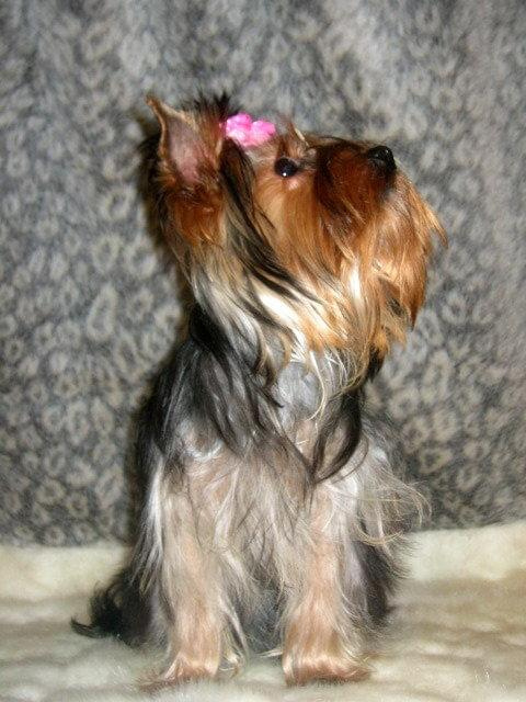 Cassy