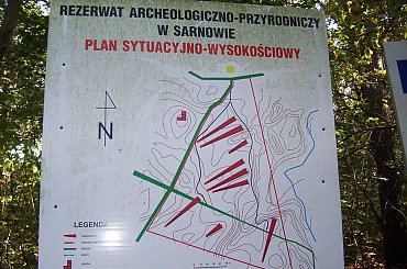 #grobowce #PucharyLejkowate #Sarnowo