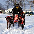 Trening on snow klubu zaprzęgowego Amberdog. Trasa treningowa na stadionie CKIS Pruszcz Gdański.fot. by Agnes #CkisPruszczGdański #PsieZaprzęgi #PsyZaprzęgowe #IgorTracz #traczer #OlgierdTracz #amberdog #maszer