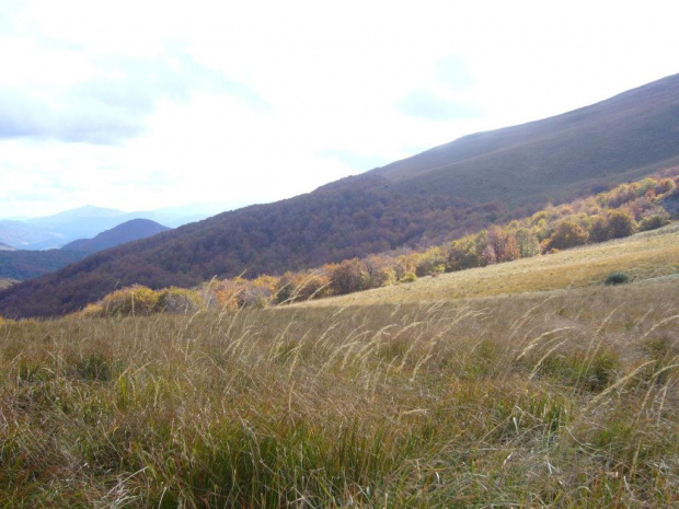 #góry #bieszczady #jesień