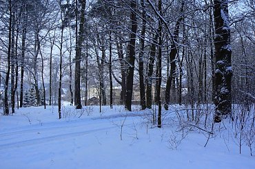 Rudy,zima,park #Rudy #zima #park