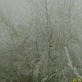 Zima 2006 #Śnieg #Zima