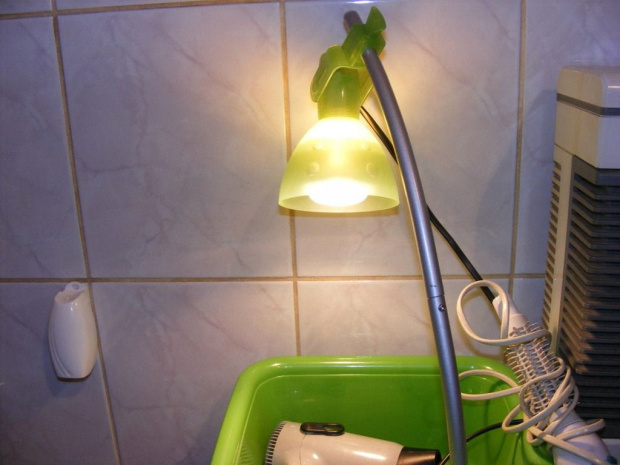 #swiatło #lampa #lampka #fretka #łazienka
