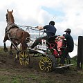 JARANTÓW 2008 Mistrzostwa Świata w Powożeniu Zaprzęgami Jednokonnymi