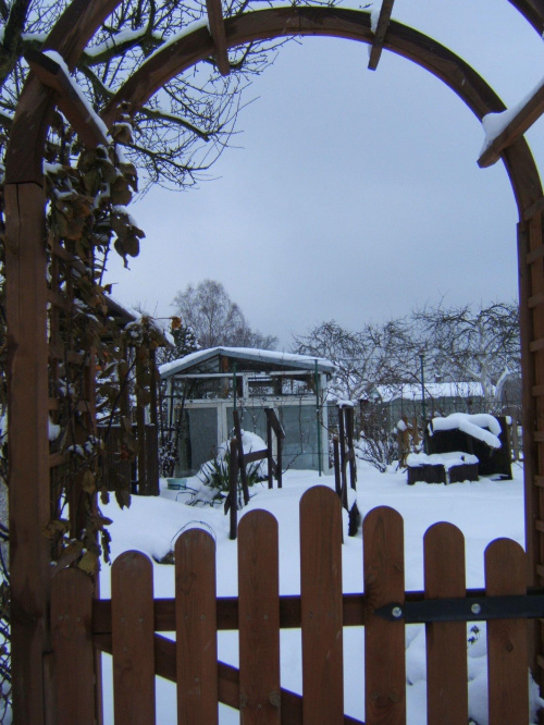 Ogródki działkowe w śniegu okolice #Działka #ZimaNaDziałce #ogródki