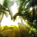 To słoneczne zdjęcie zrobiłem w grze, która nazywa się Risen. A zrobiłem je dlatego, że brakuje mi słońca i bardzo chciałbym kiedyś wyjechać na tropikalną podróż w takie miejsce jak to :) #Risen #księżyc #tropical #island #tropikalna