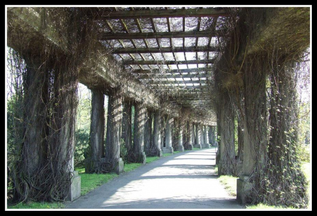 pergola - Park Szczytnicki we Wrocławiu