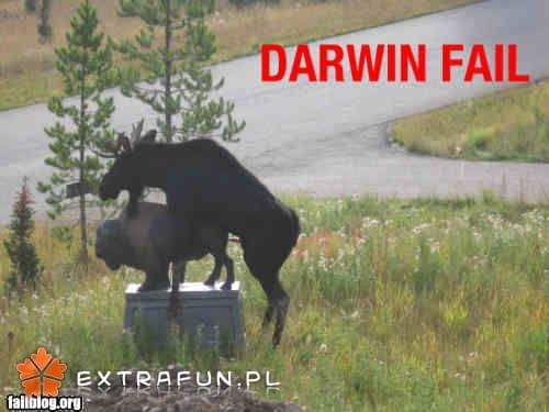 www.extrafun.pl #extrafun