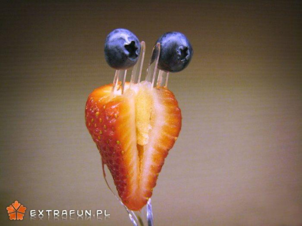 www.extrafun.pl #extrafun