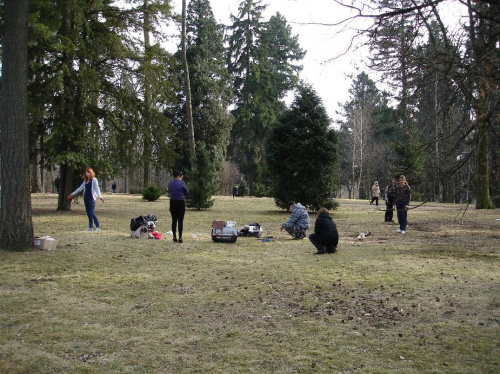 freci spacerek w parku Grabiszyńskim 13-03-2011 #fretka #fretki #kicia #spacer #spatkanie #ParkGrabiszyński