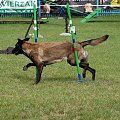 PP Agility Białystok 22.07.2007