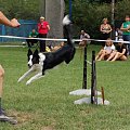 PP Agility Białystok 22.07.2007