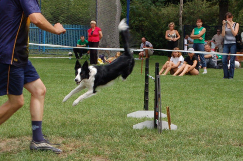 PP Agility Białystok 22.07.2007