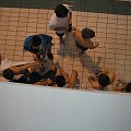 Zamość finał województwa 2007/2008