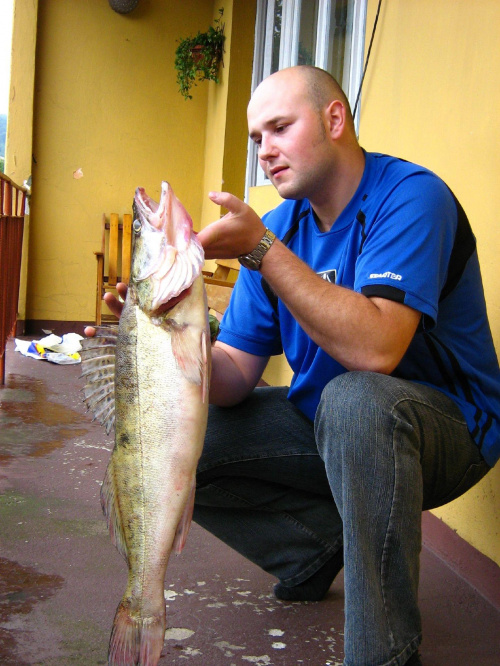 Duża ryba #Ryba #Ryby #Sandacz #Wędkarstwo #Wędkowanie