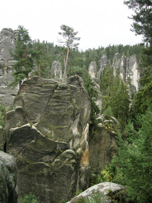 Panorama #Adrśpach #krajobraz #natura #SkalneMiasto #skały #Czechy