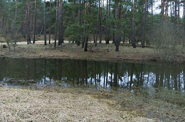 #jeziorko #panorama #drzewa #niebo #odbicie