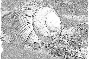 winniczek inaczej #ślimak #winniczek #przeróbki #inaczej