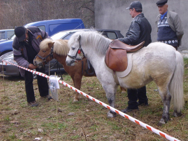 Niedziela Palmowa na Kurpiach
Łyse 2011