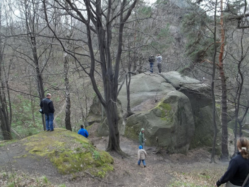 Spot Odrzykoń