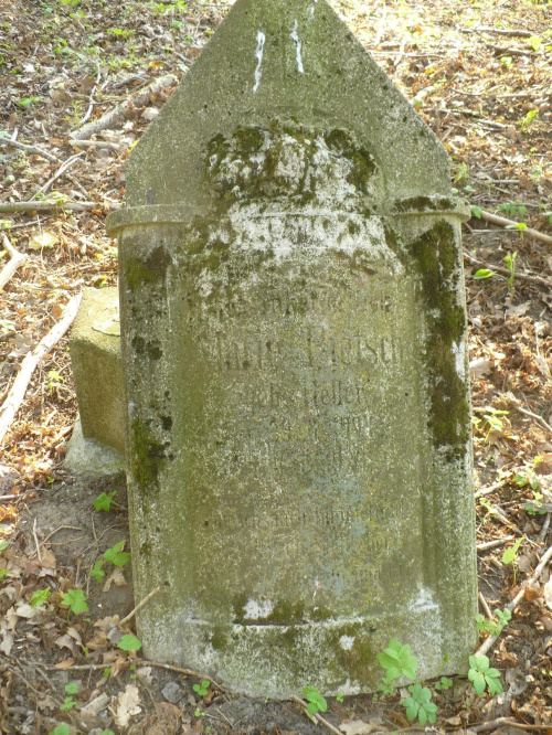 Alt Bork Friedhof. Grabstein: Marie Pietsch, geb. Heller (weiter undeutlich)
