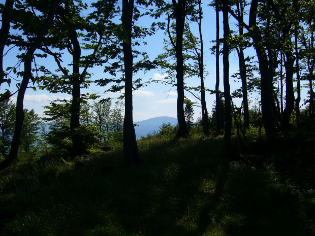 Beskid Mały,Czupel,Hrobacza Łąka,Magurka Wilkowicka,Straconka,Żarnówka Mała #BeskidMały #Czupel #HrobaczaŁąka #MagurkaWilkowicka #Straconka #ŻarnówkaMała