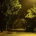 #aleja #ciemność #drzewa #noc