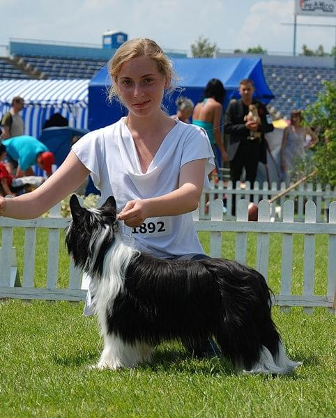 CACIB Leszno 2011