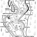 #mapa #JezioroBiałe