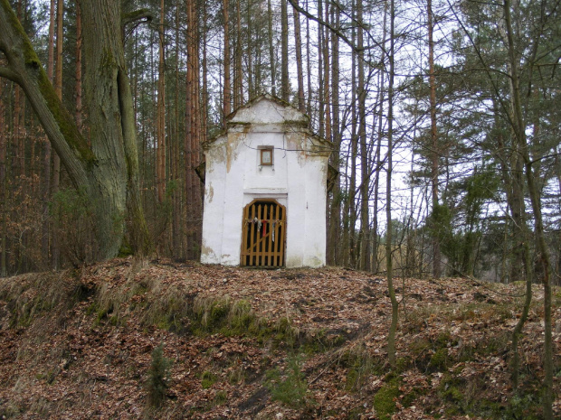 Kapliczka naprzeciw oznakowania szlaków ( w kierunku Konewki ) .