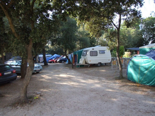 Camp - Pineta w Petrćane
