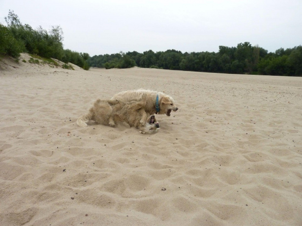 Brutus i Duffel, Wisła, czerwiec 2011