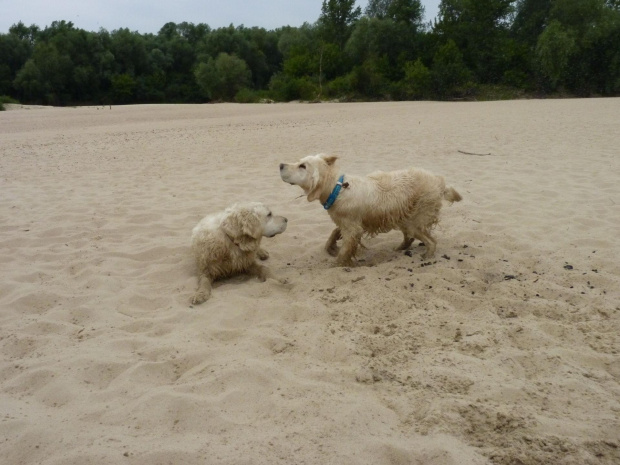 Brutus i Duffel, Wisła, czerwiec 2011